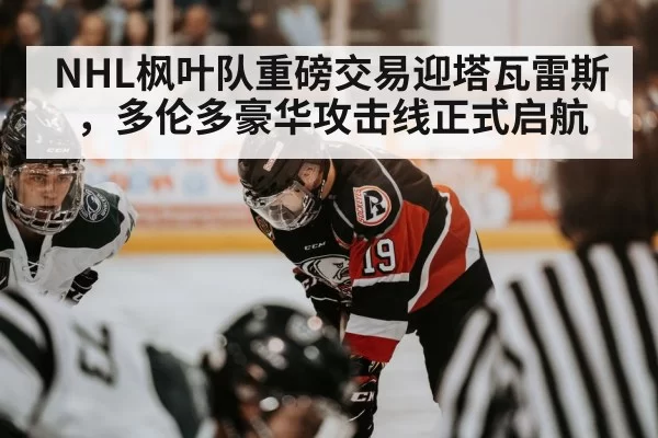 NHL枫叶队重磅交易迎塔瓦雷斯，多伦多豪华攻击线正式启航